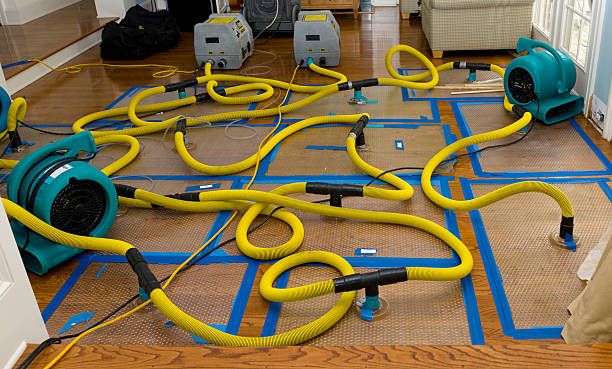 Professional Storm Water Damage Restoration technician working in Barrington, IL